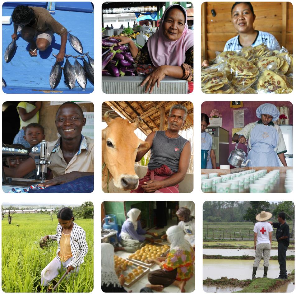 What are llh livelihoods centre
