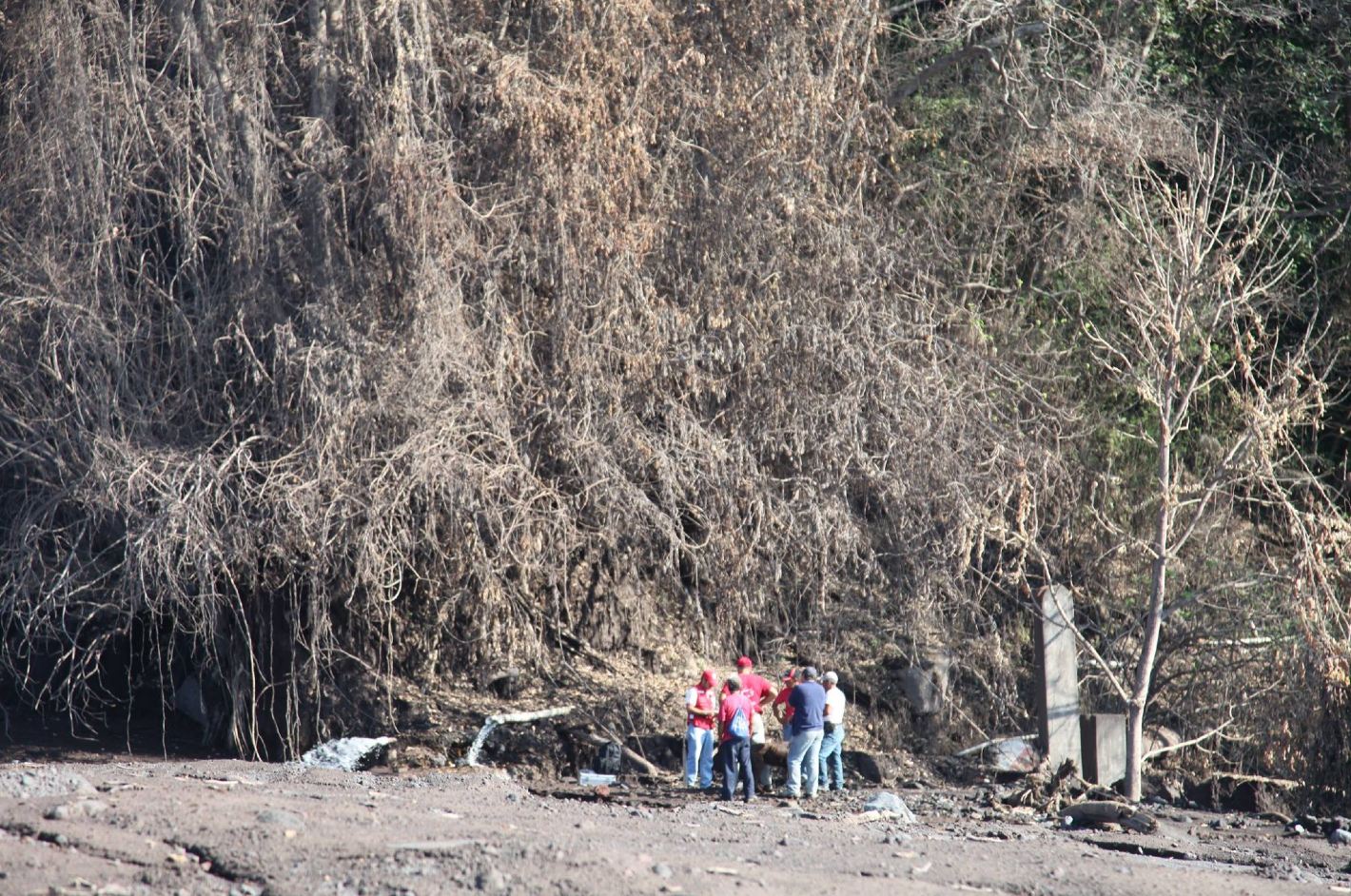 VolcanFuego1.jpg