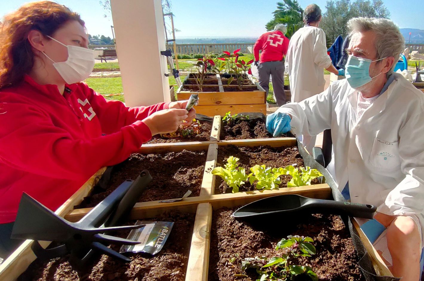 Sembrar esperanza, recoger salud. Los beneficios de cultivar un huerto