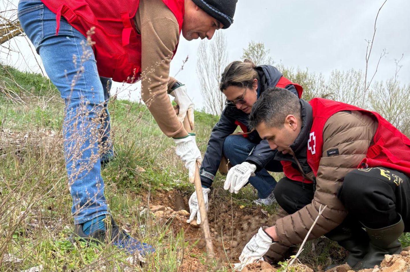 Sembrar esperanza sobre la ceniza