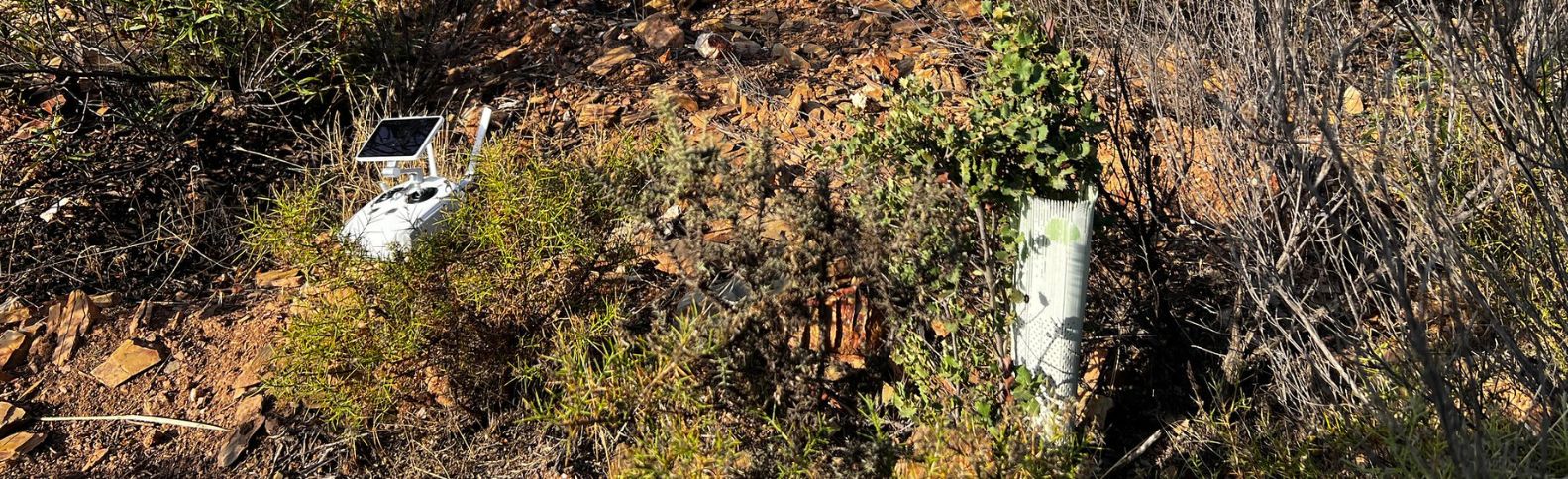 La tecnología, una aliada clave en la restauración de ecosistemas