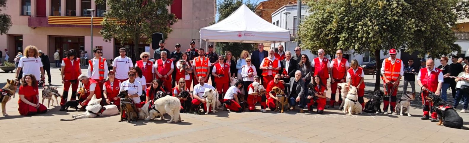 Héroes voluntarios de cuatro patas: 30 años de búsqueda y rastreo