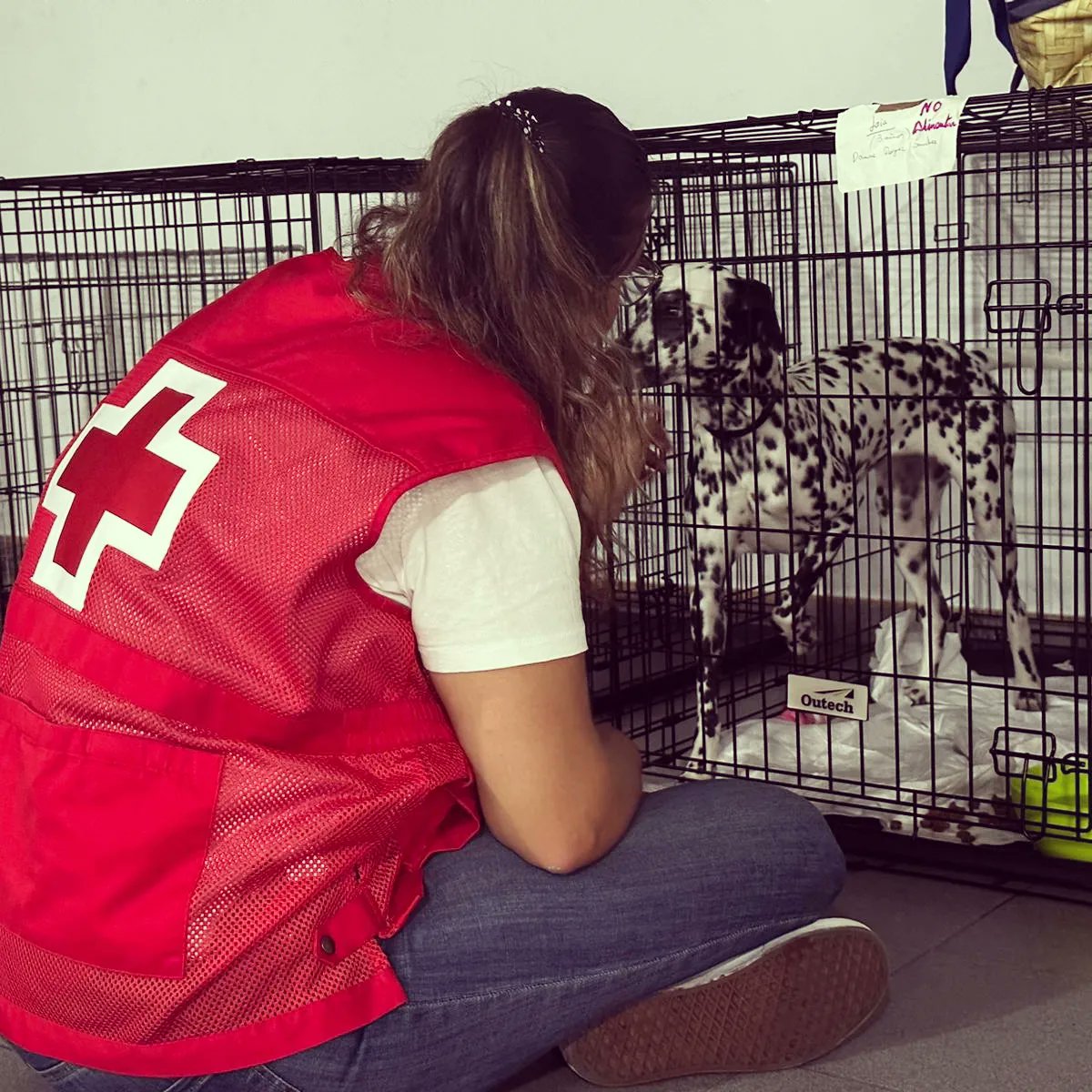 “La gente prefería quedarse fuera del albergue que abandonar a sus animales”