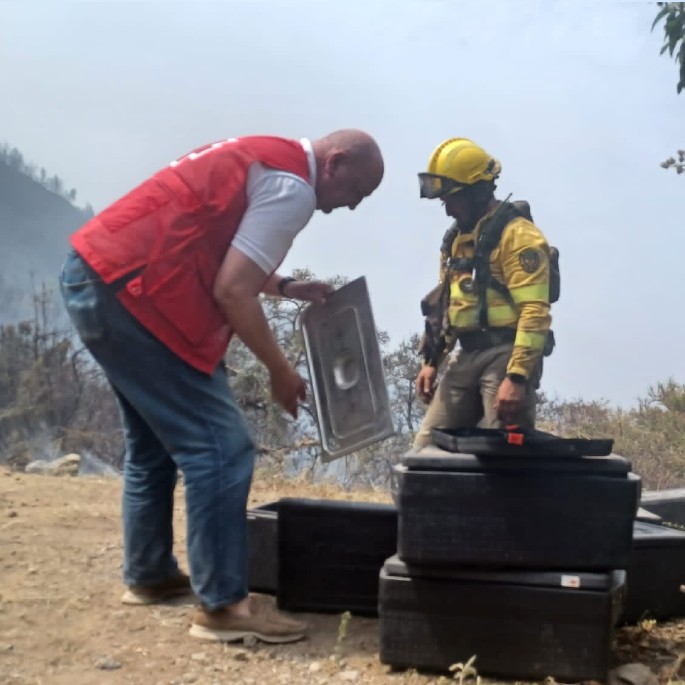 Burgos, Ávila, Zamora y Tenerife: los incendios forestales no dan tregua