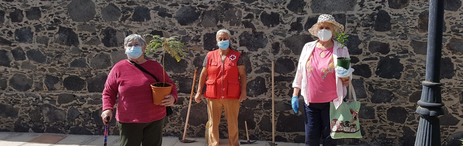 Cuidar las plantas genera bienestar