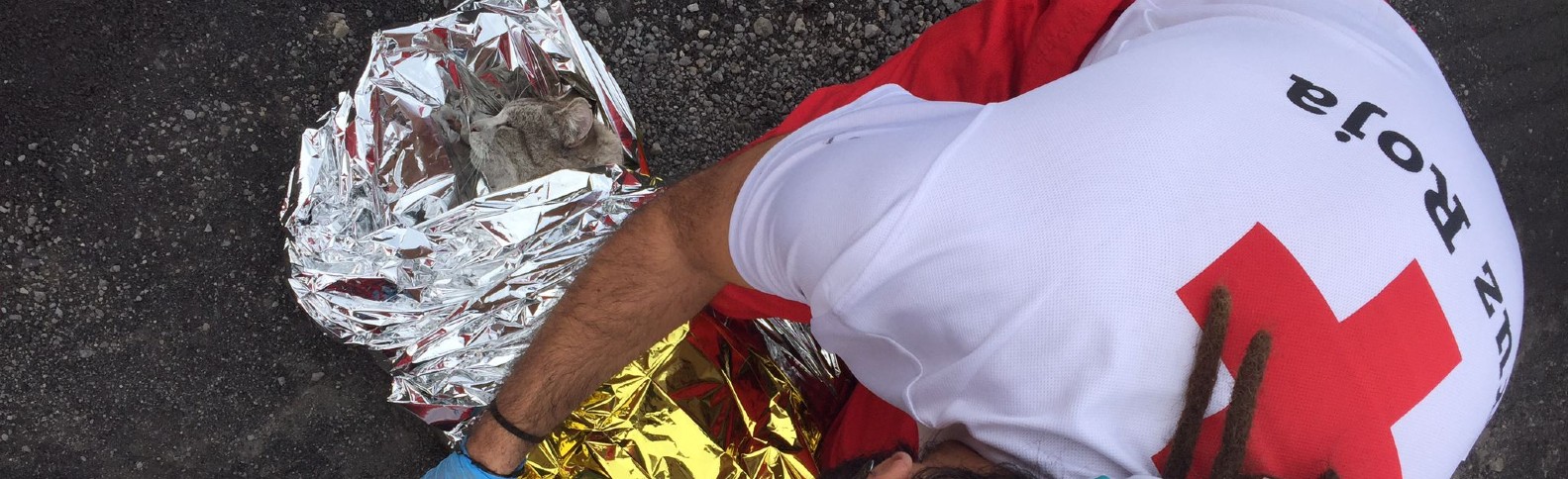 Un rescate muy peludo en La Palma