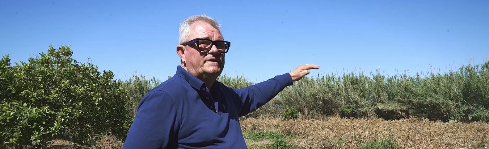 “El agua se llevó mis naranjos y ahora toca volver a empezar”