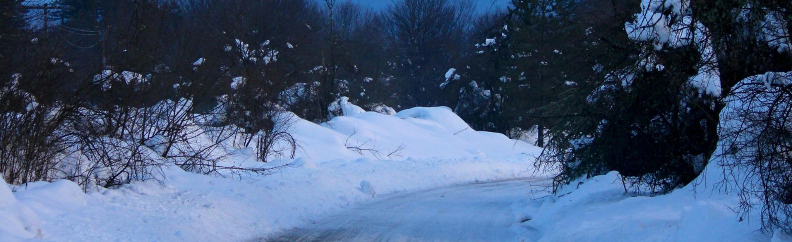 Recomendaciones frente a una nevada