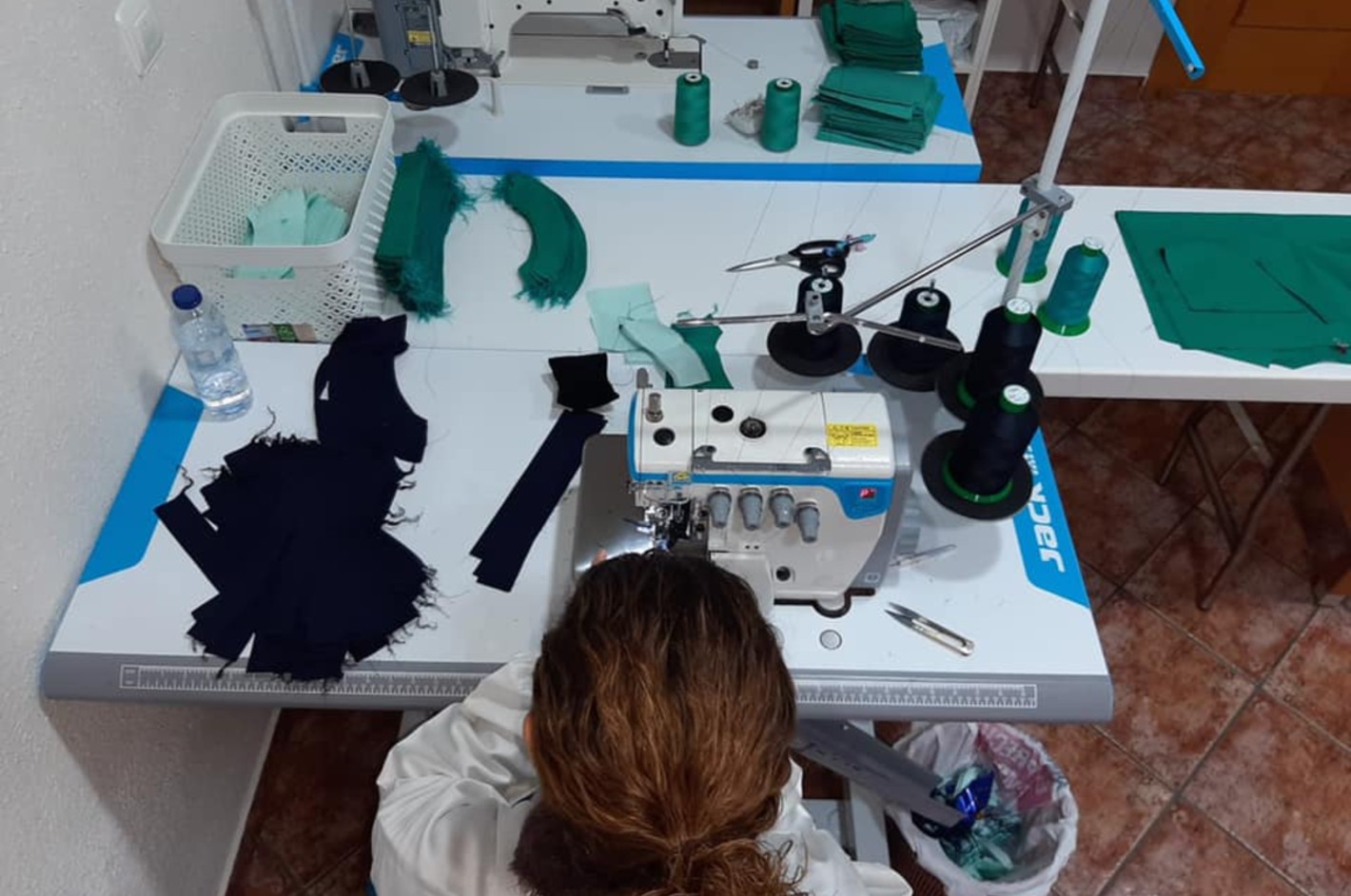 EmpleoVerde_Proyecto2.jpg