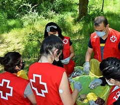 Alianza ambiental y acción ciudadana