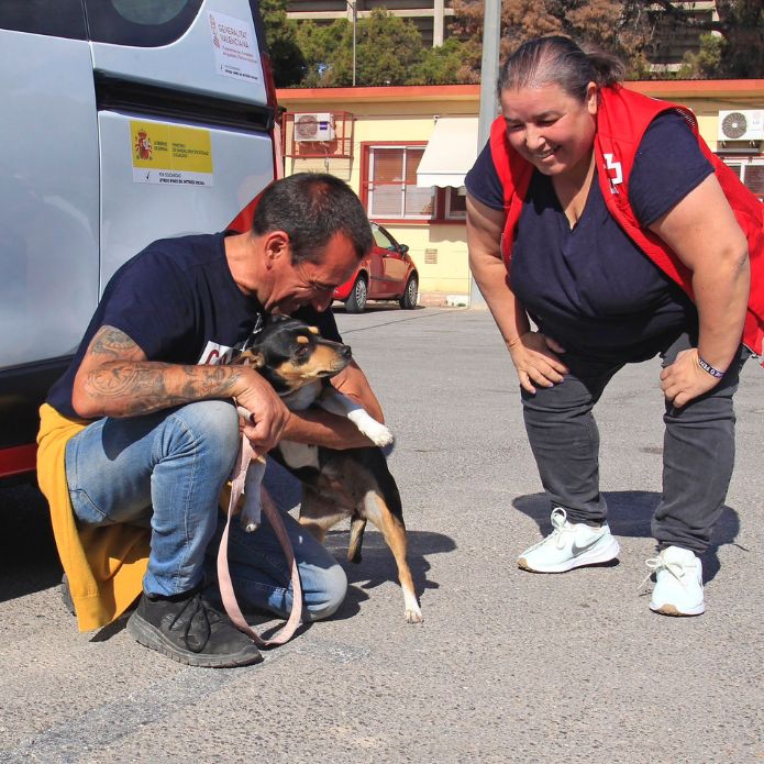Héroes peludos de cuatro patas, mucho más que unas mascotas